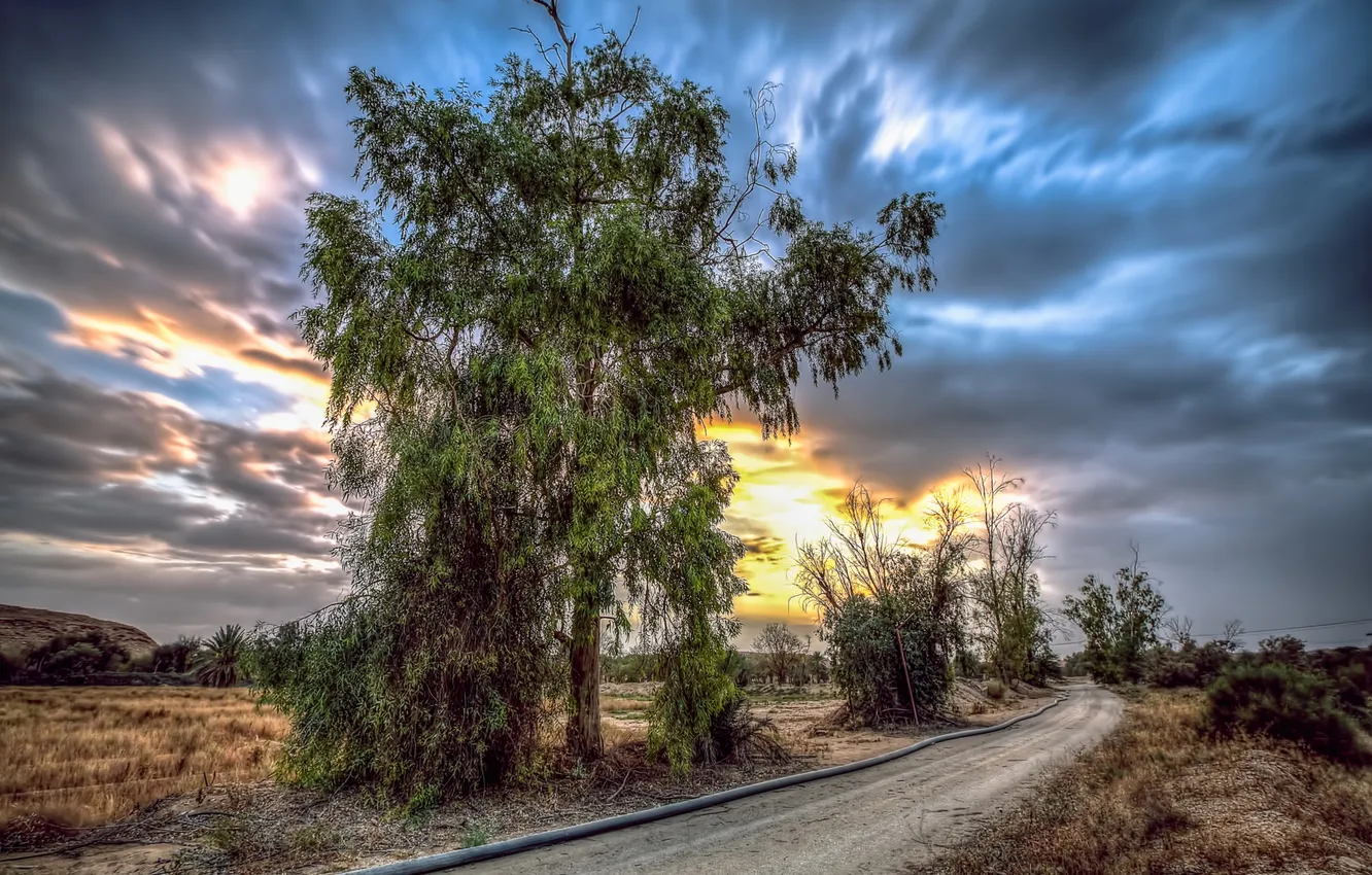 Photo wallpaper road, trees, landscape
