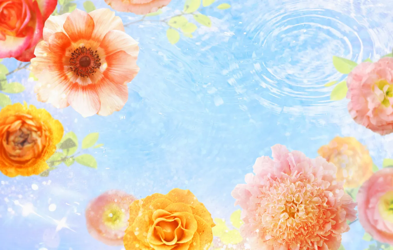 Photo wallpaper water, collage, Wallpaper, roses, petals