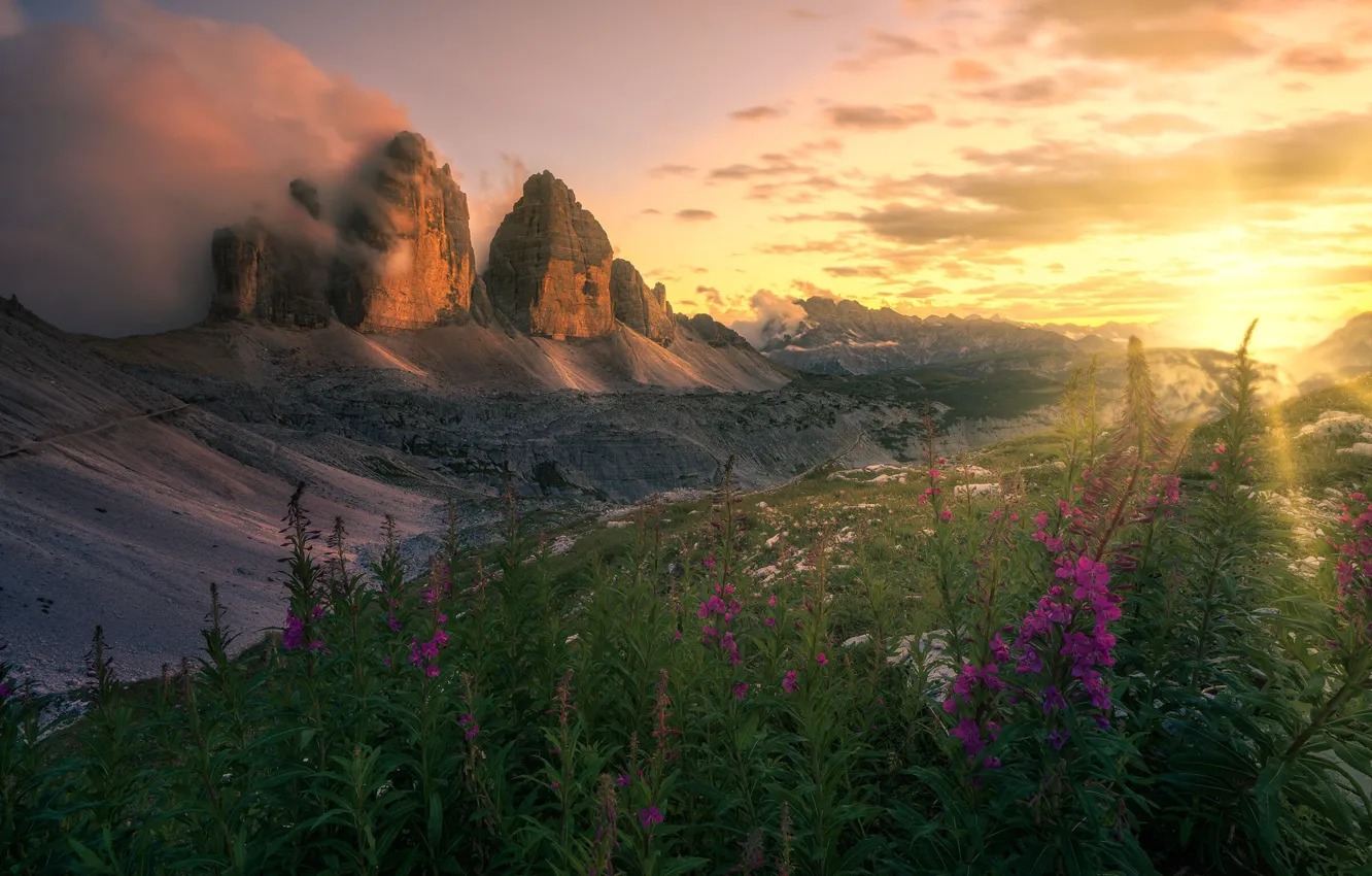 Photo wallpaper the sun, sunset, flowers, mountains, dawn, Alps, haze, Ivan-tea