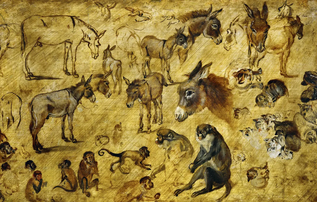 Photo wallpaper animals, picture, Jan Brueghel the elder, Sketches Of Animals