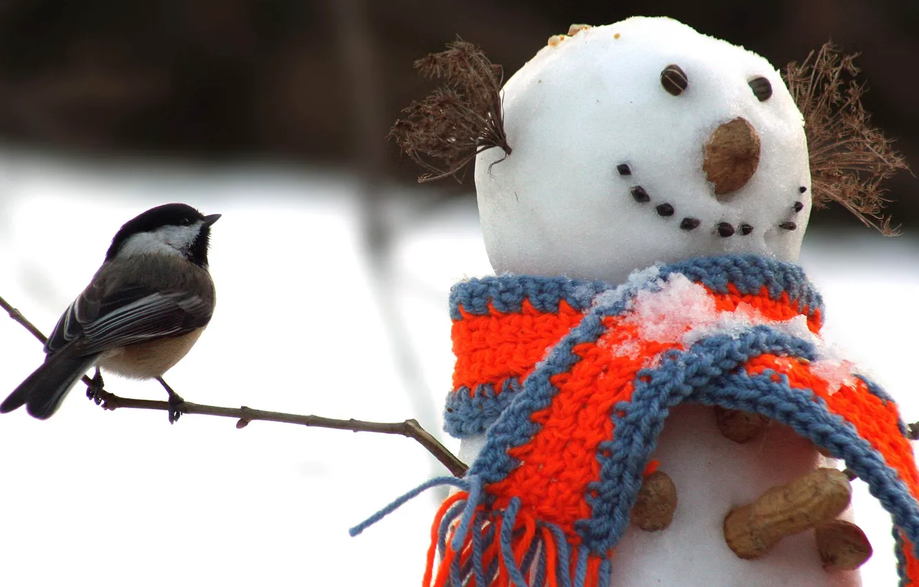 Photo wallpaper winter, snow, bird, scarf, snowman, nuts, twigs, peanuts
