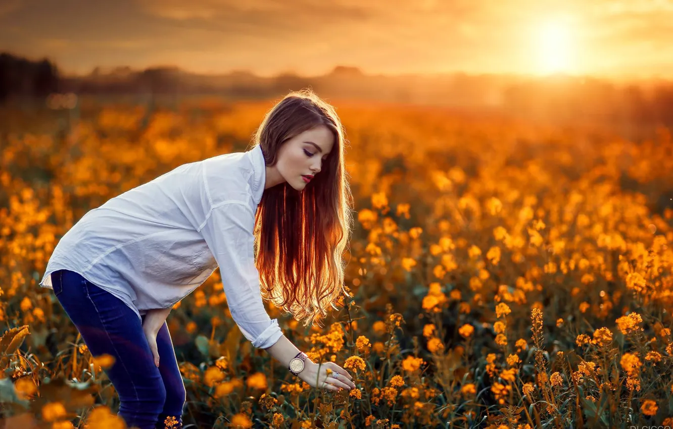 Photo wallpaper field, girl, sunset, mood, rape, Alessandro Di Cicco, Luiz Carlos Sene