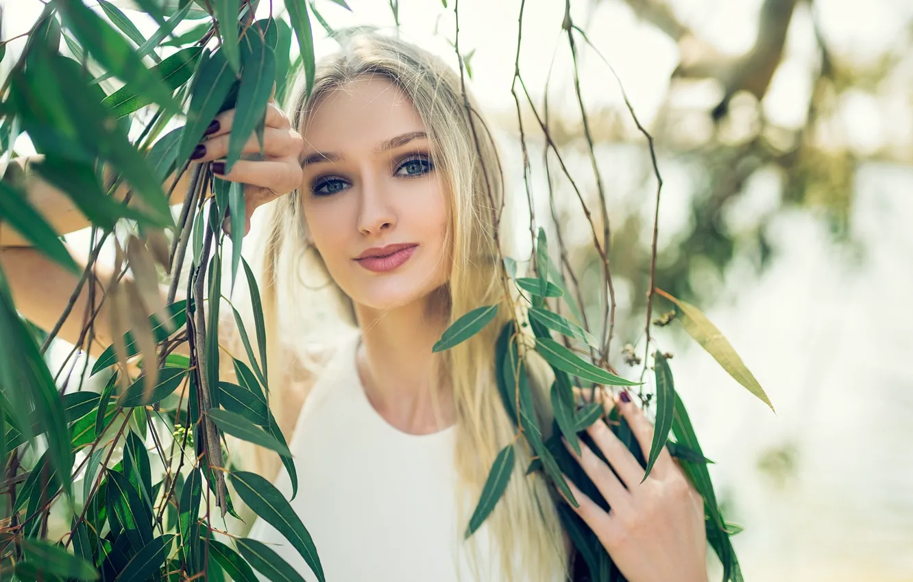 Photo wallpaper leaves, branches, portrait, makeup, hairstyle, blonde, beauty, in white