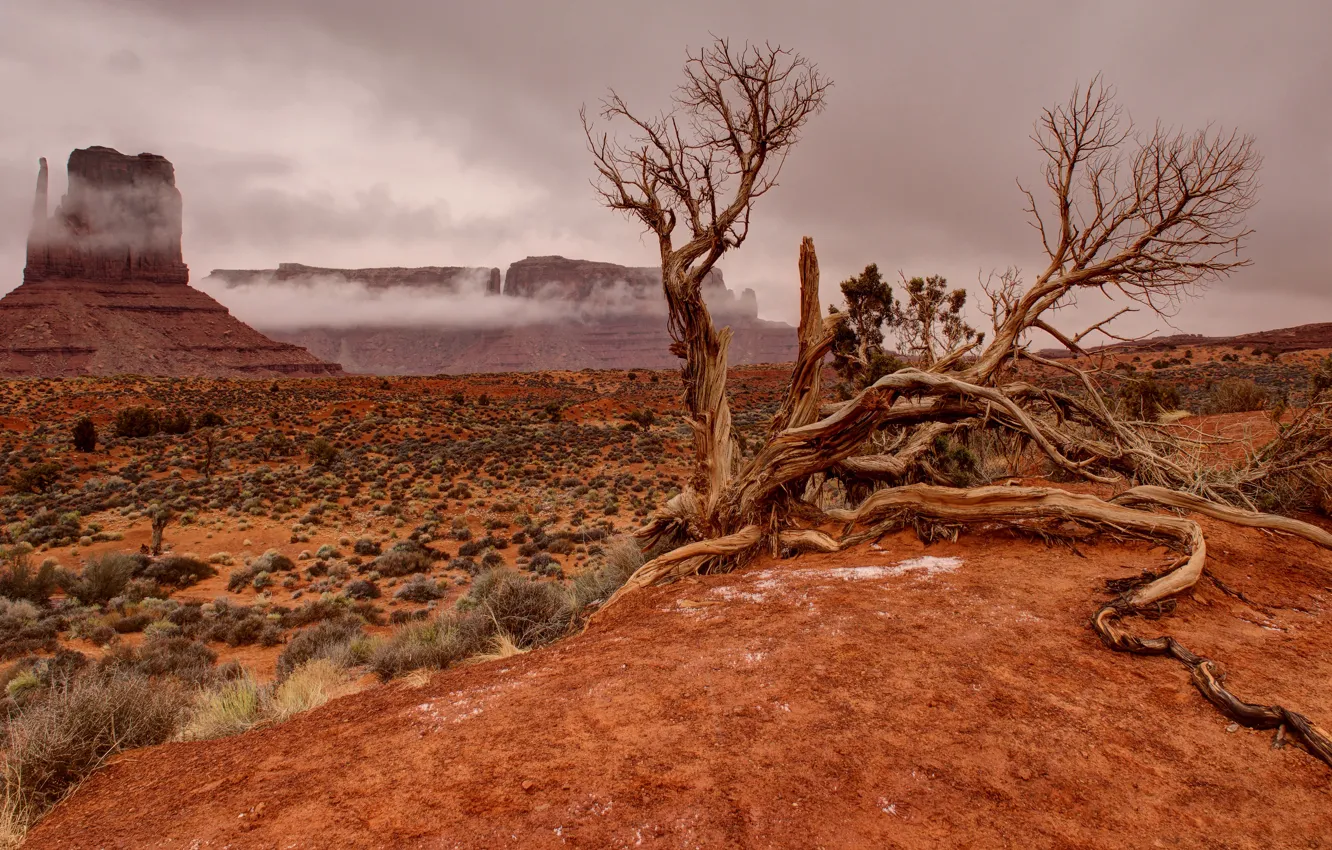Photo wallpaper rocks, USA, snag, Monument valley