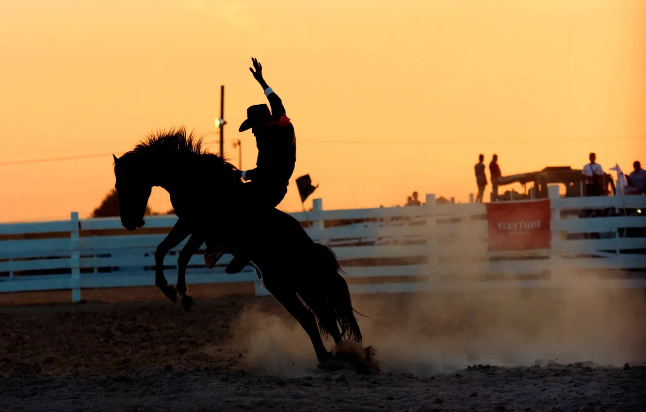 Photo wallpaper horse, rider, Rodeo