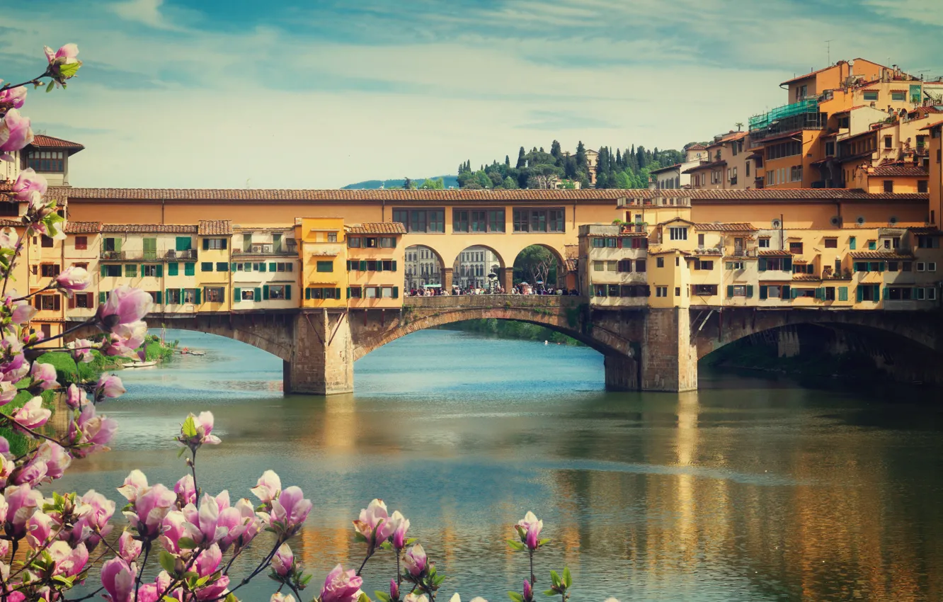 Photo wallpaper bridge, city, the city, spring, Italy, Florence, flowering, Italy
