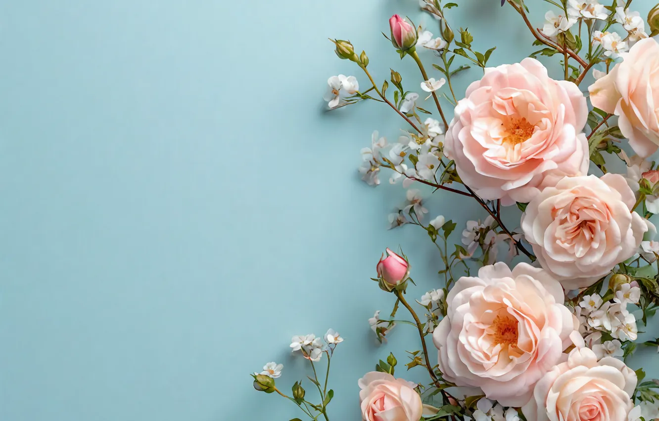 Photo wallpaper Flowers, Background, Roses, Background for the presentation