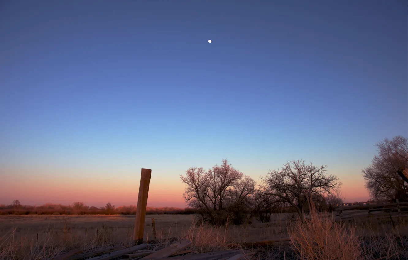 Photo wallpaper field, the sky, trees, sunset, orange, pink, the moon, The evening