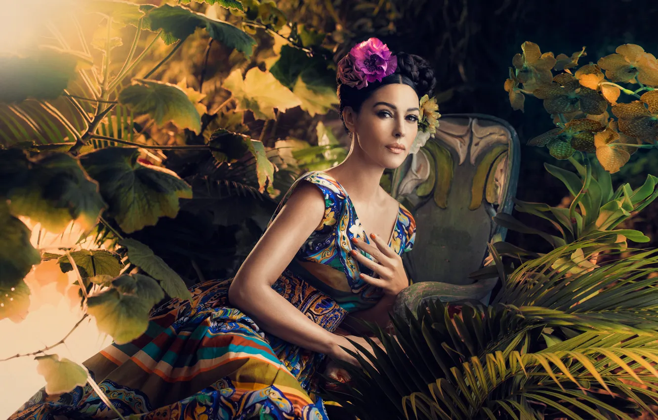 Photo wallpaper girl, actress, brunette, Monica Bellucci, Monica Bellucci, celebrity, celebrity