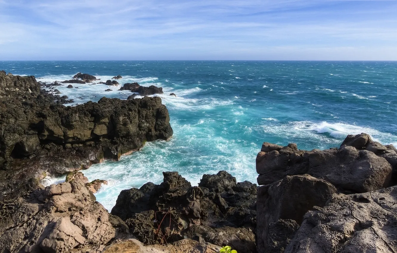 Photo wallpaper sea, rocks, coast