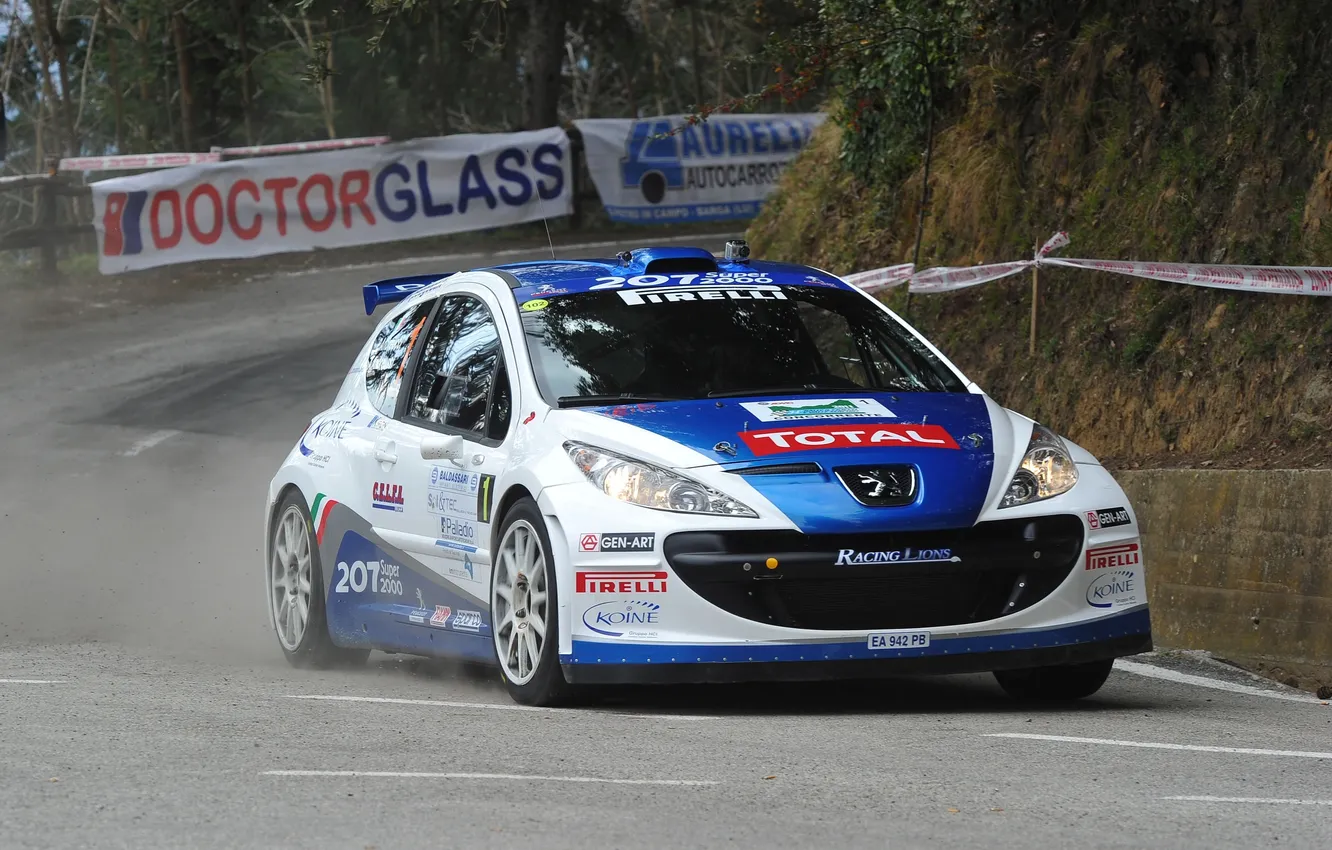 Photo wallpaper sport, The hood, Peugeot, Peugeot, WRC, the front, Rally, 207