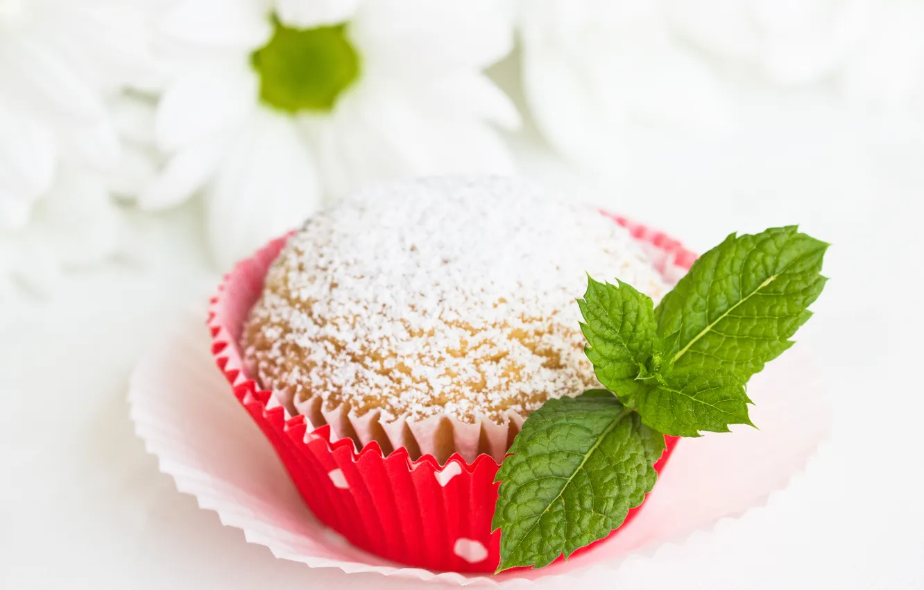 Photo wallpaper mint, cakes, cupcakes, powdered sugar
