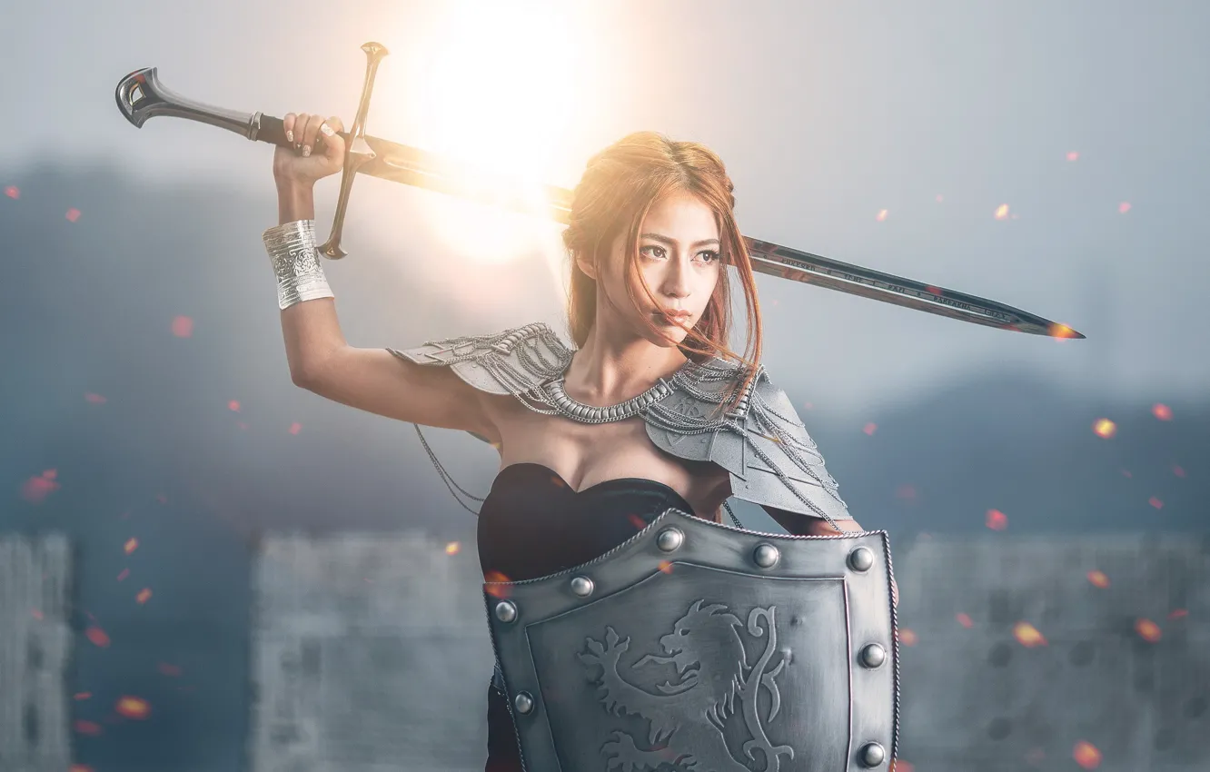 Photo wallpaper girl, sword, shield