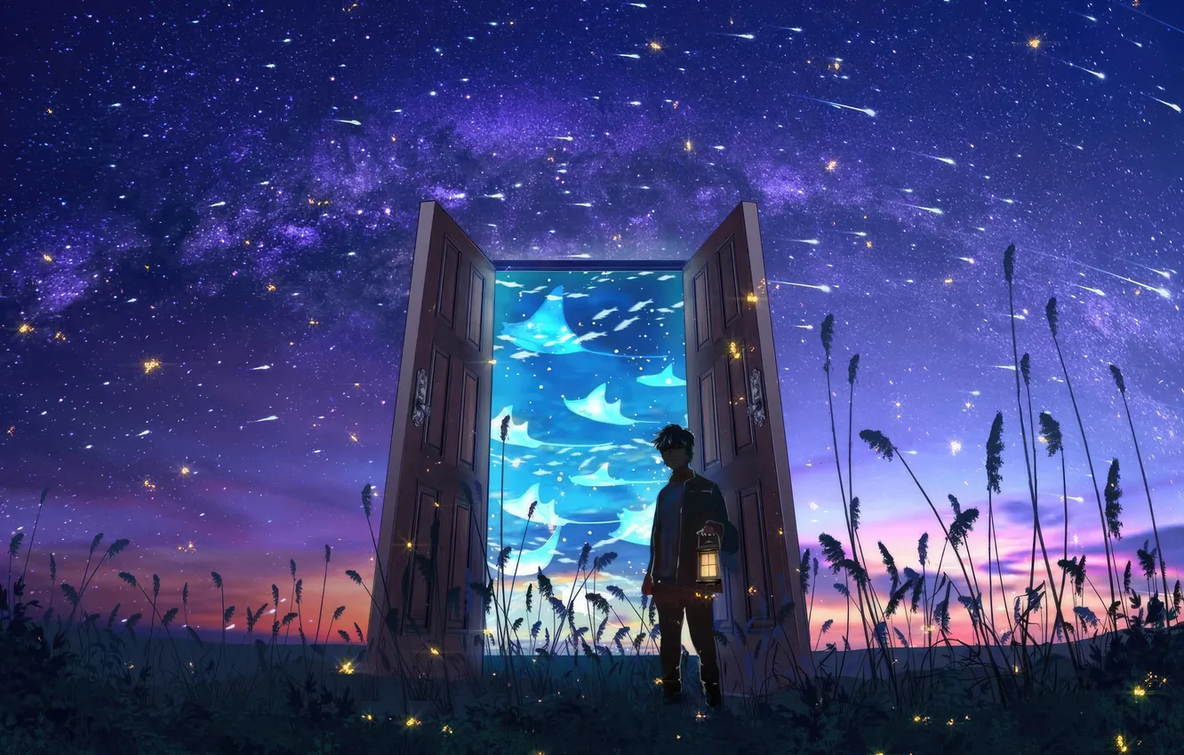 Photo wallpaper field, grass, night, the portal, flashlight, rays, the young man, other worlds