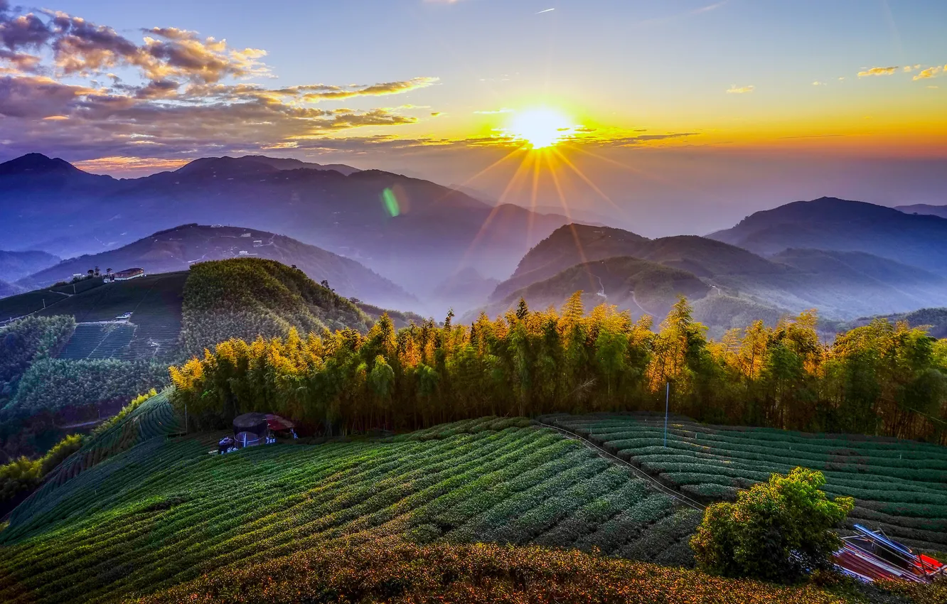 Photo wallpaper field, the sun, clouds, rays, mountains, fog, dawn, vegetation