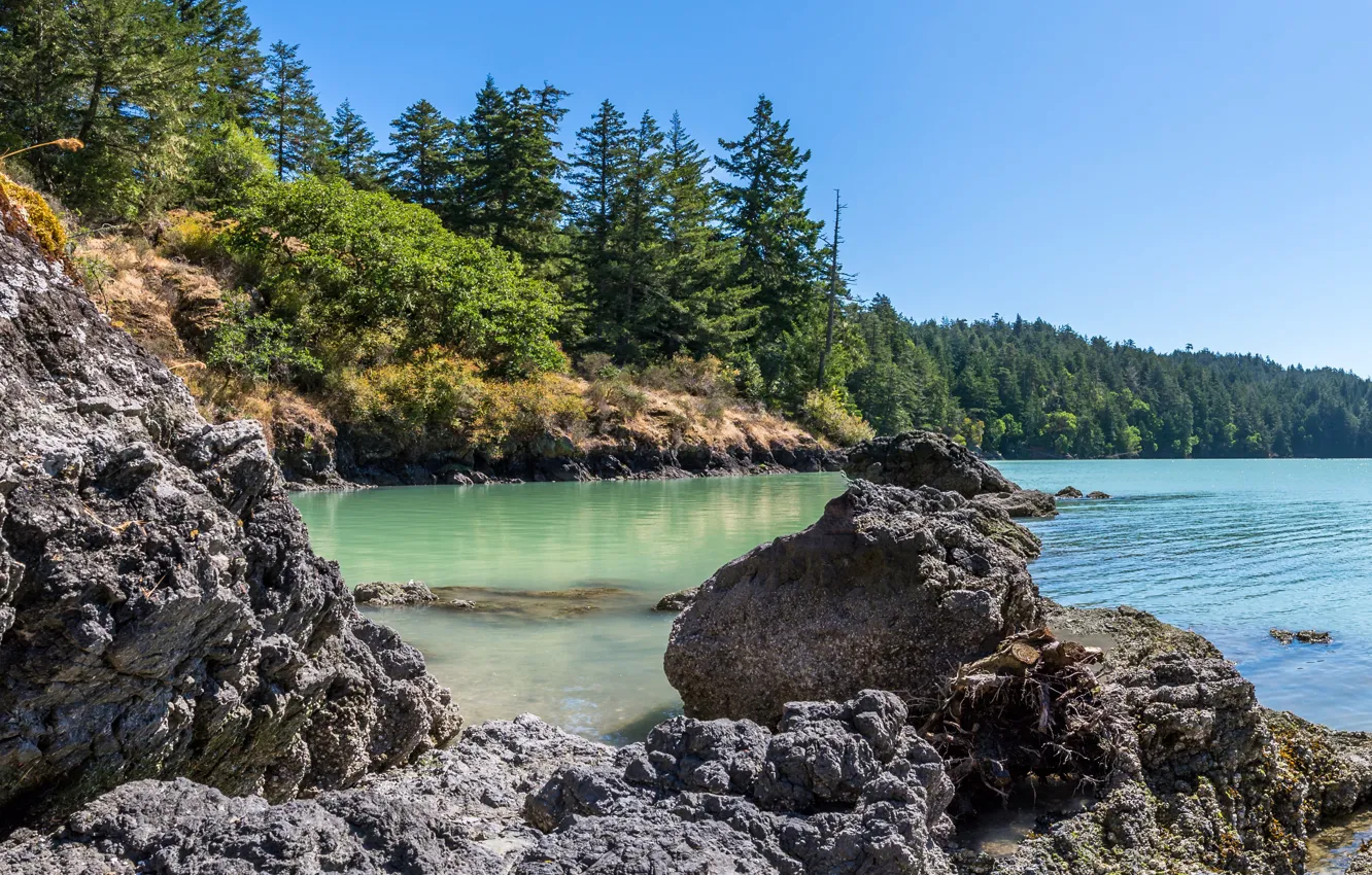 Photo wallpaper forest, the sky, the sun, trees, lake, stones, shore, Canada