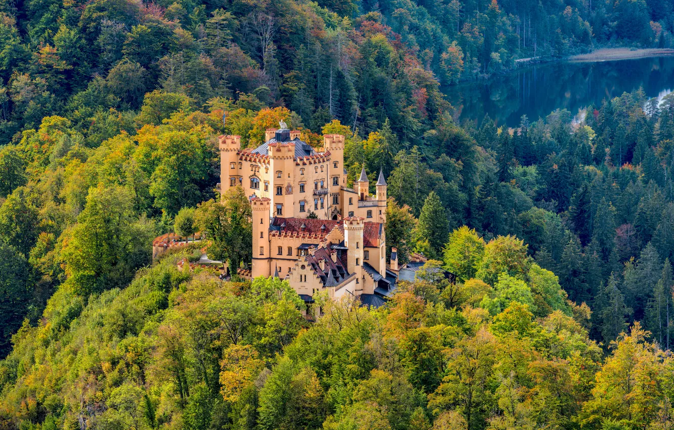 Photo wallpaper forest, castle, Germany, Bayern, Hohenschwangau Castle