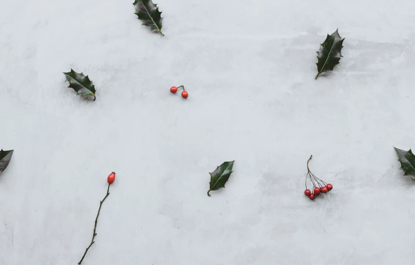Photo wallpaper leaves, red, berries, bunches