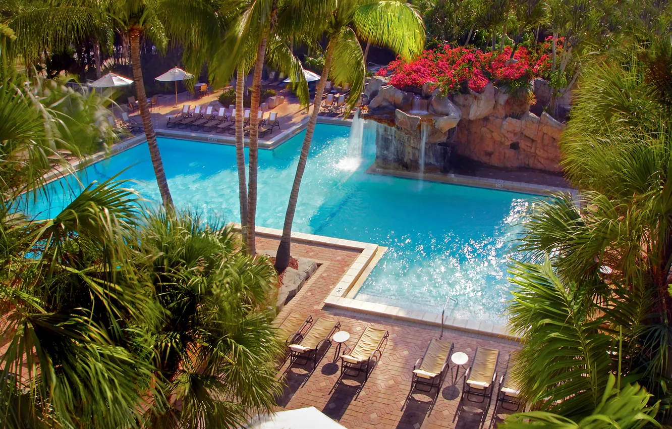Photo wallpaper flowers, stones, palm trees, waterfall, pool, pool, the loungers.