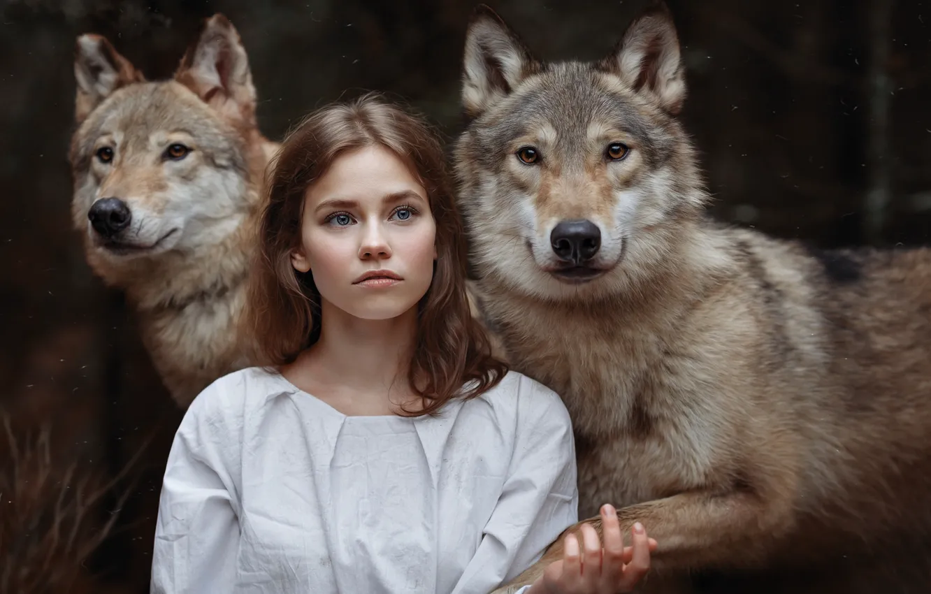 Photo wallpaper girl, wolves, friends, the girl and the wolves, Svetlana Nicotine