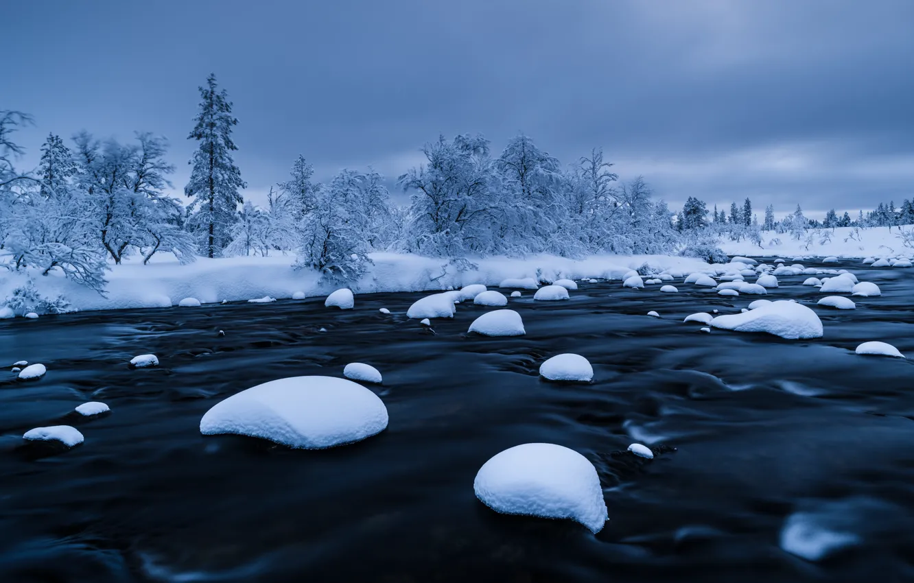 Photo wallpaper winter, snow, trees, landscape, river, forest, river, trees