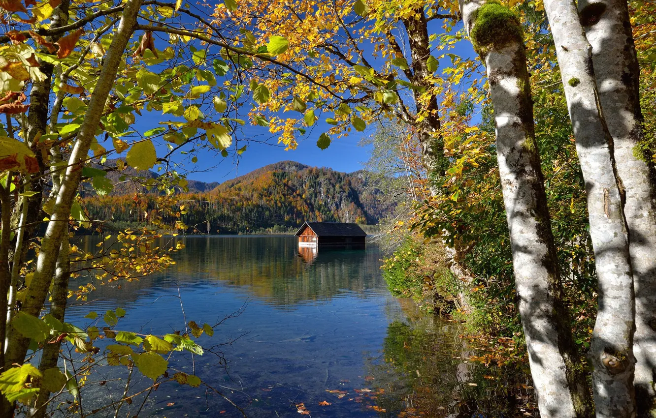 Photo wallpaper autumn, trees, landscape, mountains, nature, lake, house, Austria