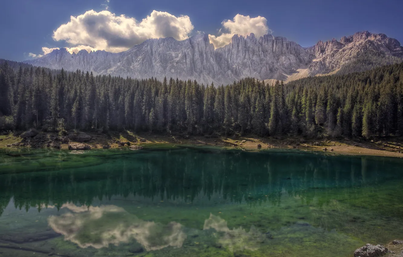 Photo wallpaper forest, mountains, lake, reflection