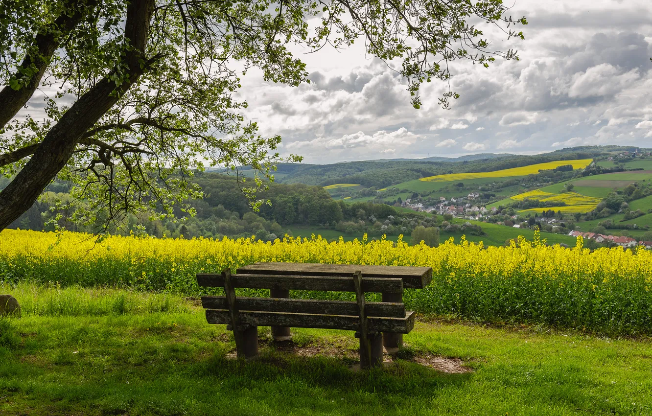 Photo wallpaper landscape, nature, shop