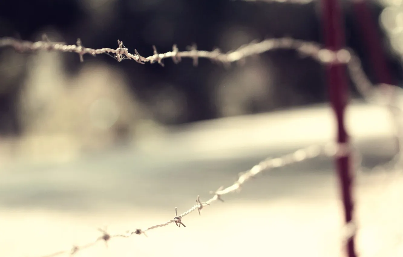Photo wallpaper macro, the fence, wire