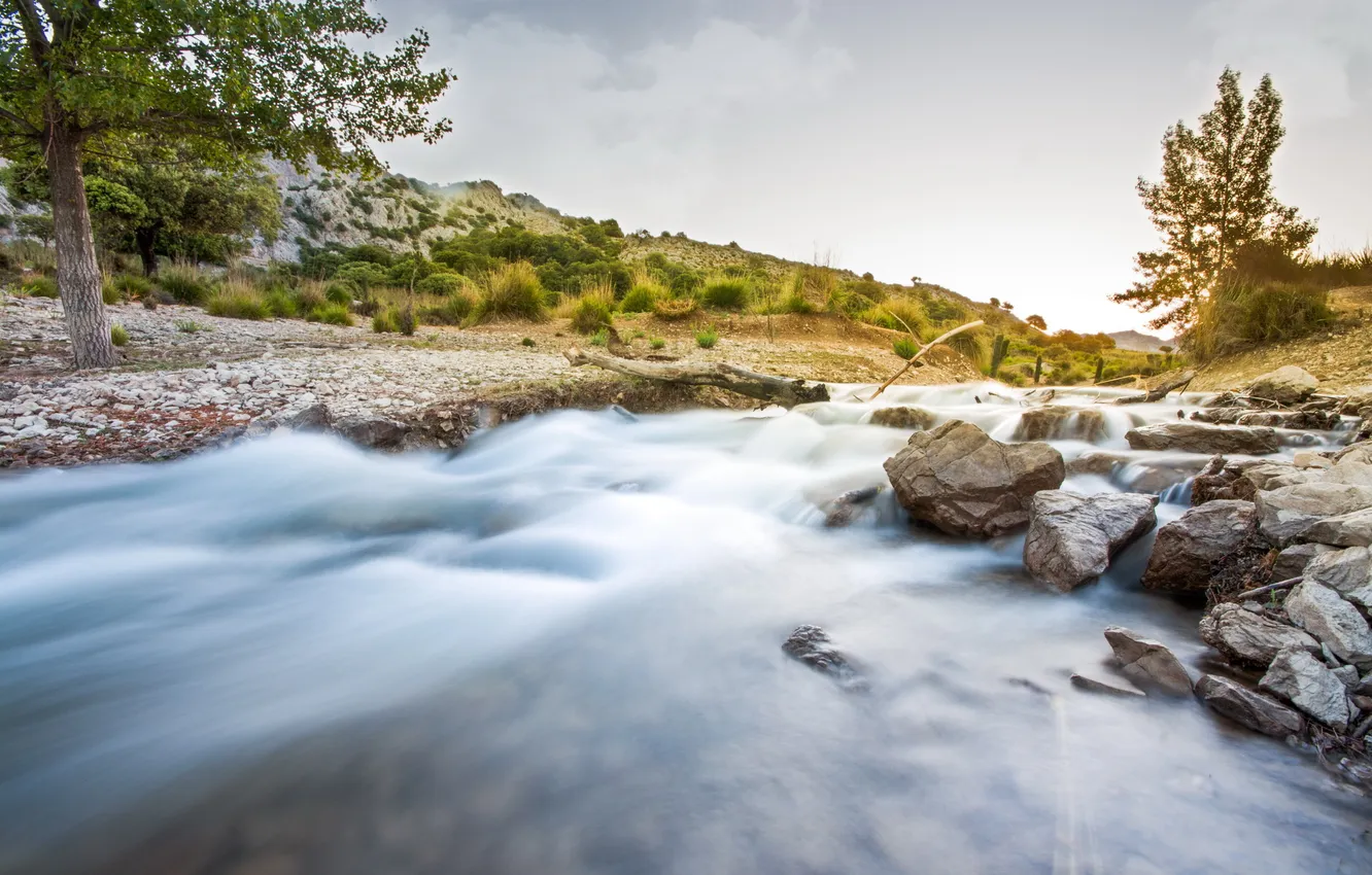 Photo wallpaper trees, landscape, nature, river, stones