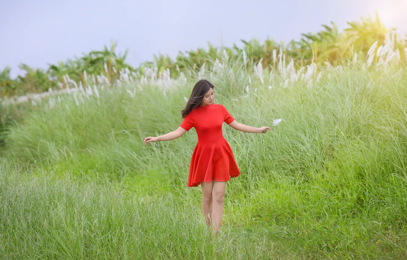 Photo wallpaper field, summer, girl, red, dress, Asian