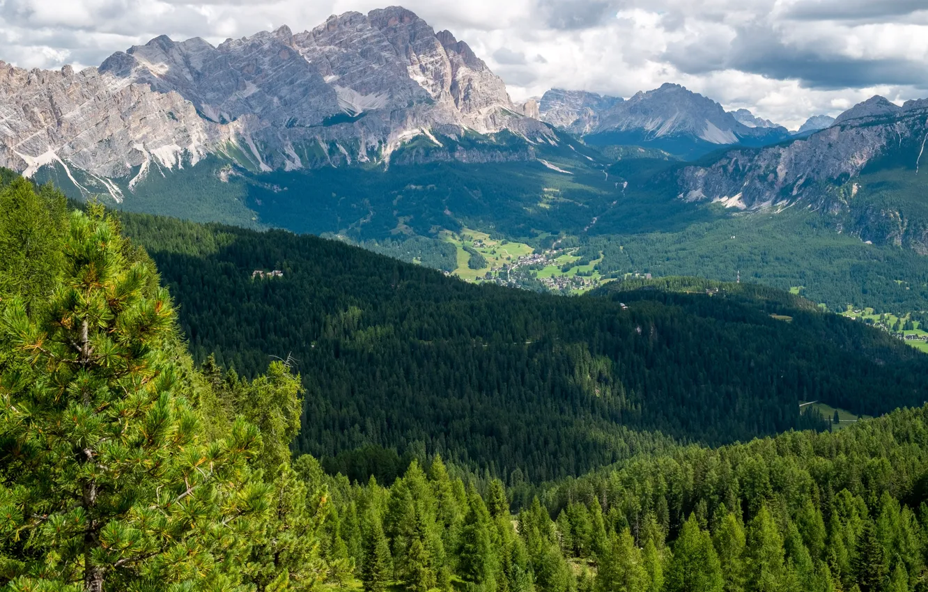 Photo wallpaper forest, mountains, height, dal, slope, settlement