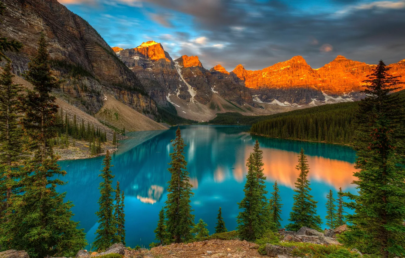 Photo wallpaper forest, the sky, clouds, light, trees, landscape, mountains, clouds