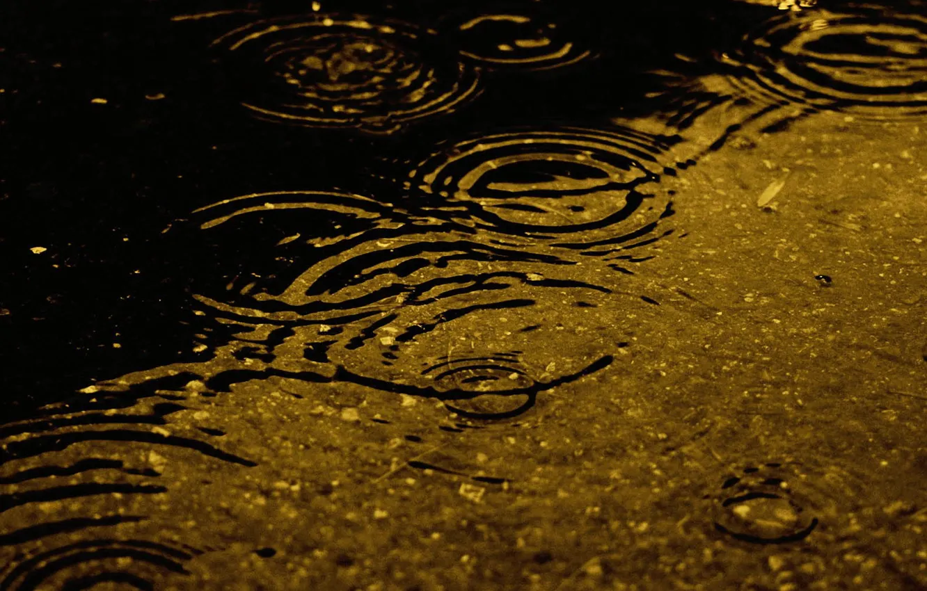 Photo wallpaper the rain, water, drops
