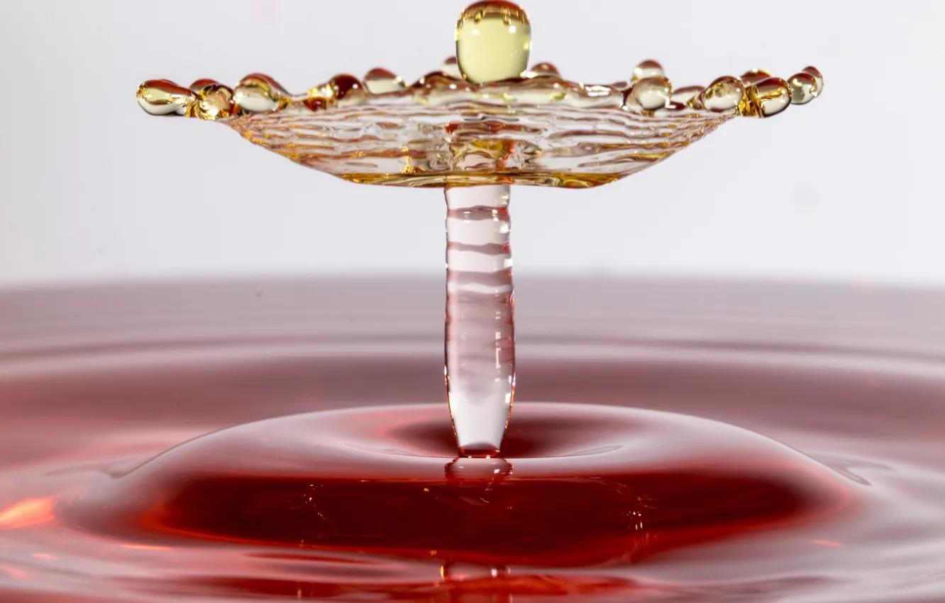 Photo wallpaper water, drops, splash, liquid