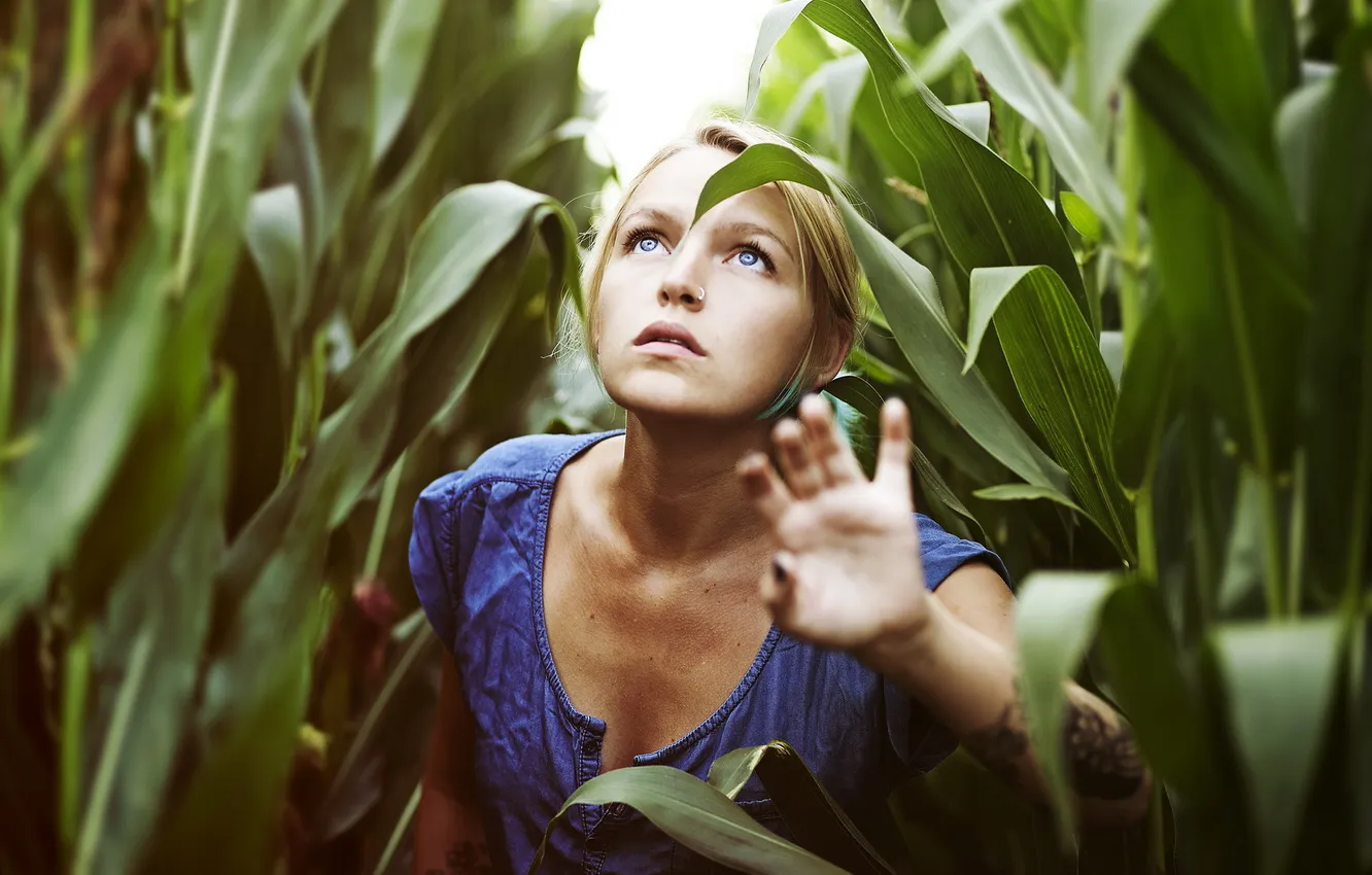 Photo wallpaper girl, background, corn
