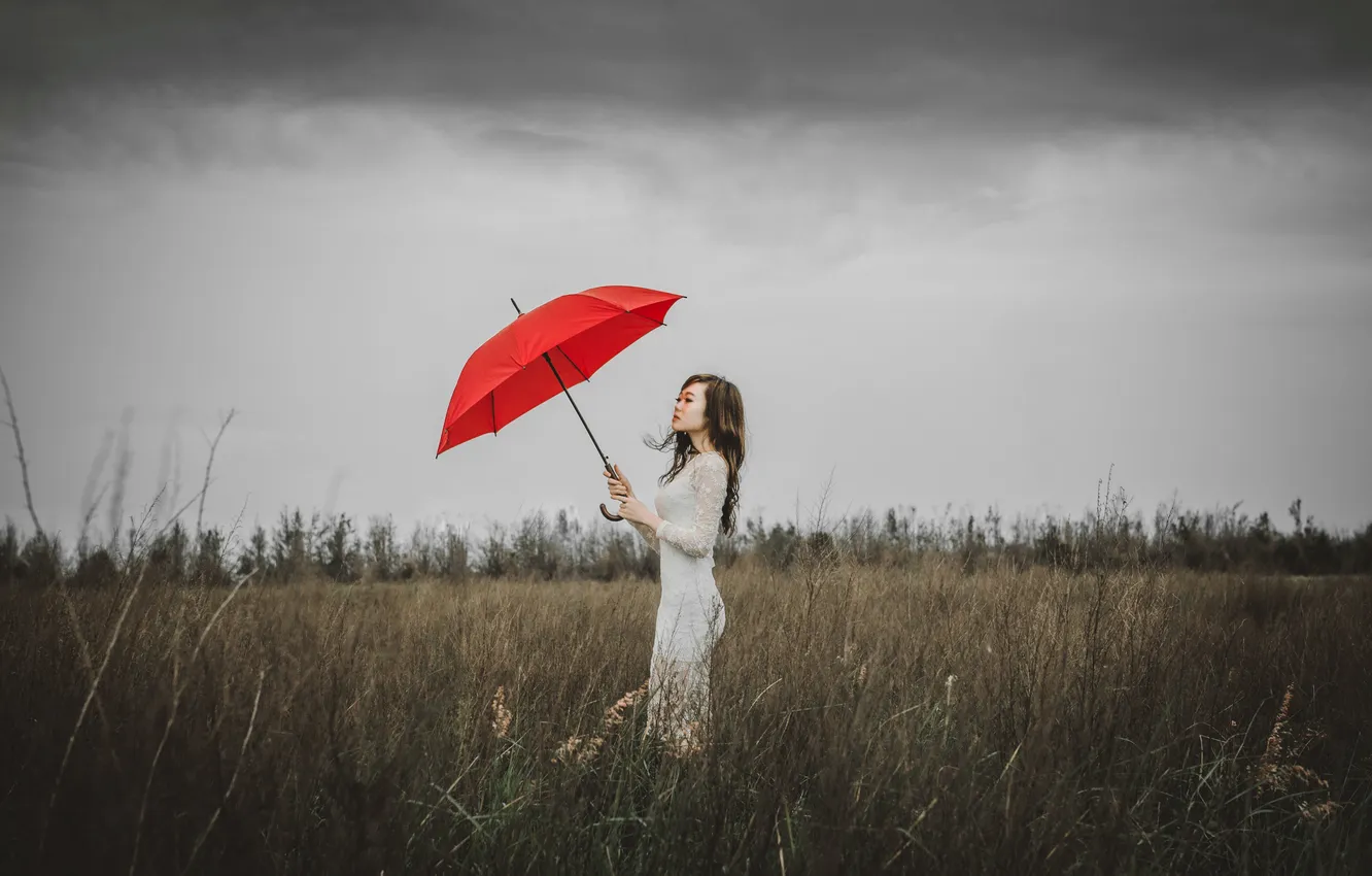 Photo wallpaper the storm, field, girl, stems, hair, Bush, dress, red umbrella