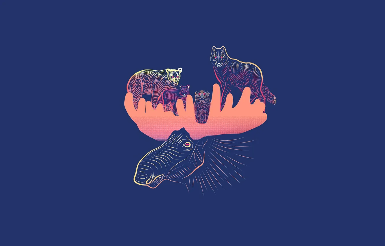 Photo wallpaper animal, owl, wolf, minimalism, bear, Fox, horns, bear