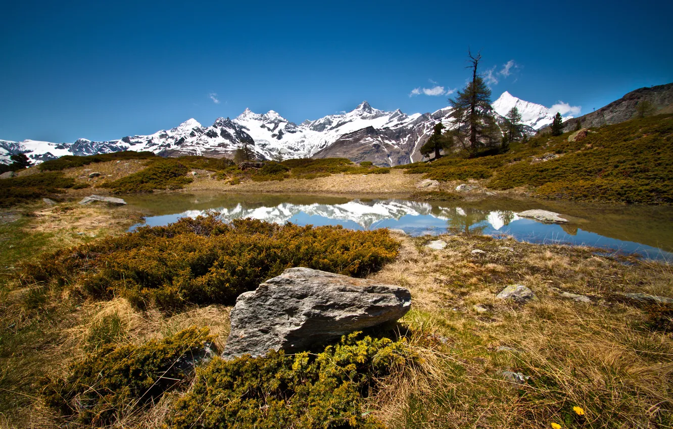Photo wallpaper grass, mountains, lake, stones, Switzerland, Zermatt