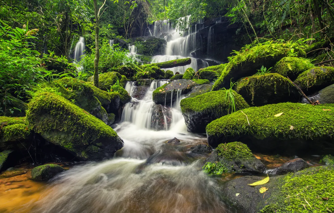 Photo wallpaper forest, river, stones, green, waterfall, moss, forest, river