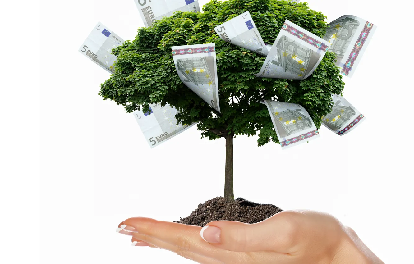 Photo wallpaper trees, creative, money