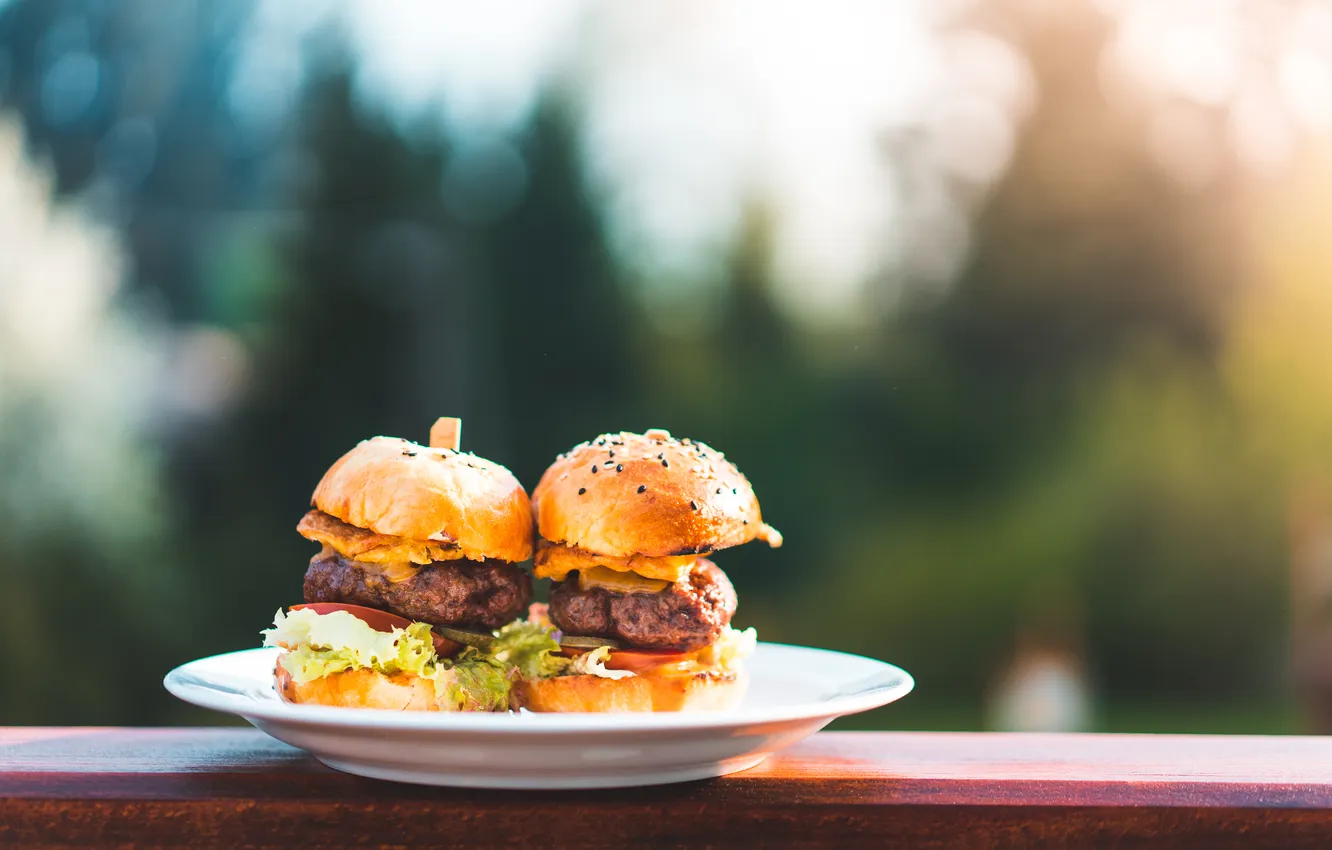 Photo wallpaper nature, dish, homemade burgers
