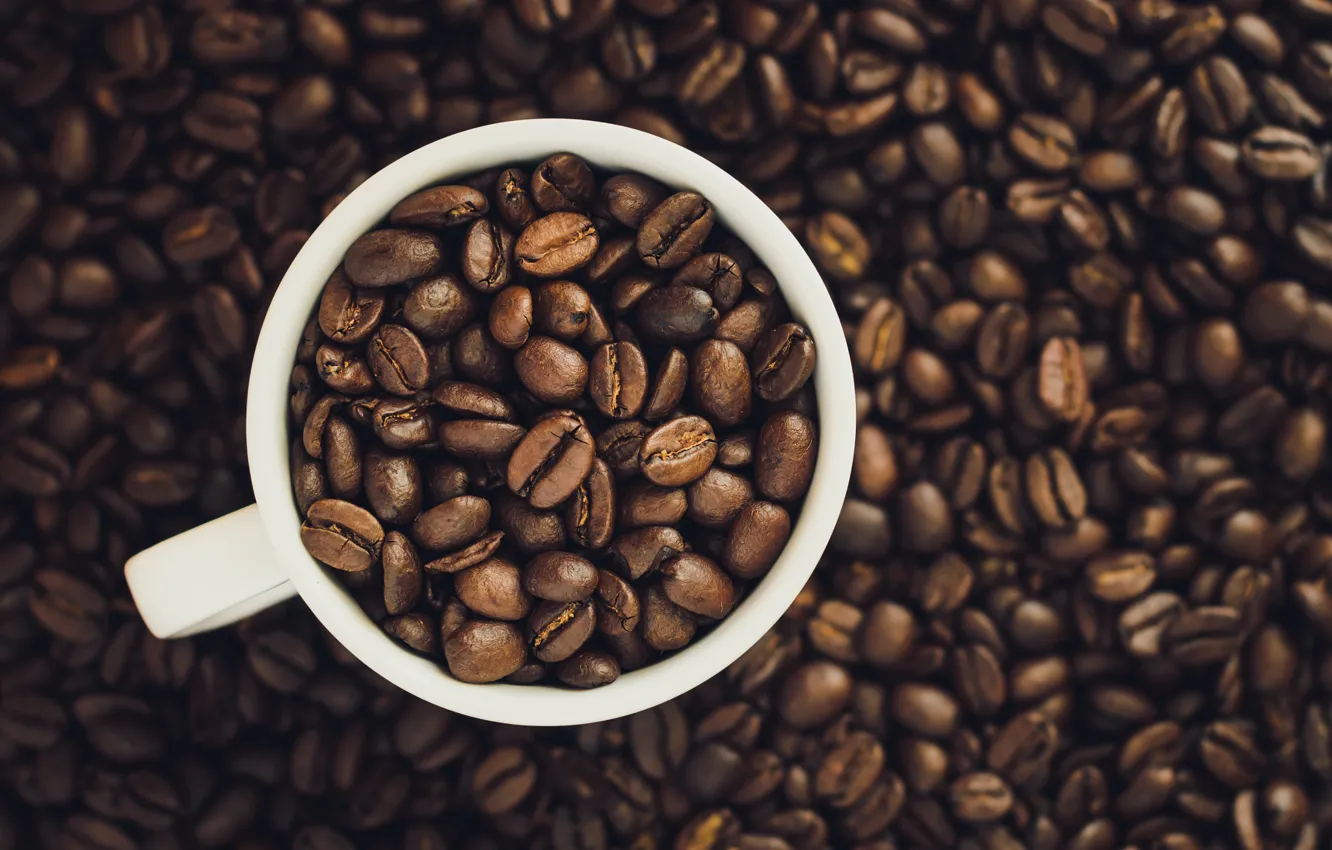 Photo wallpaper Coffee, Cup, grain