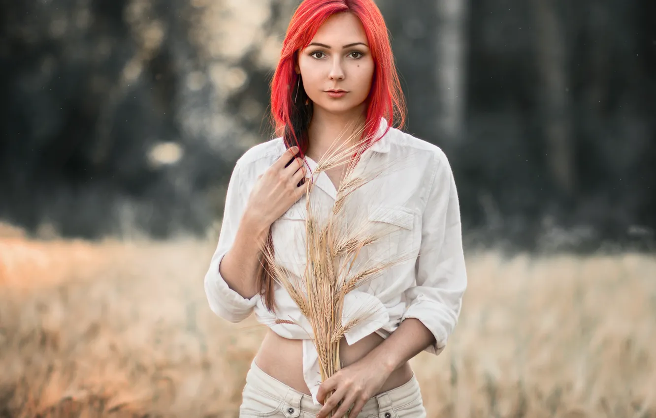 Photo wallpaper mole, sponge, Eugene, Forest Albert