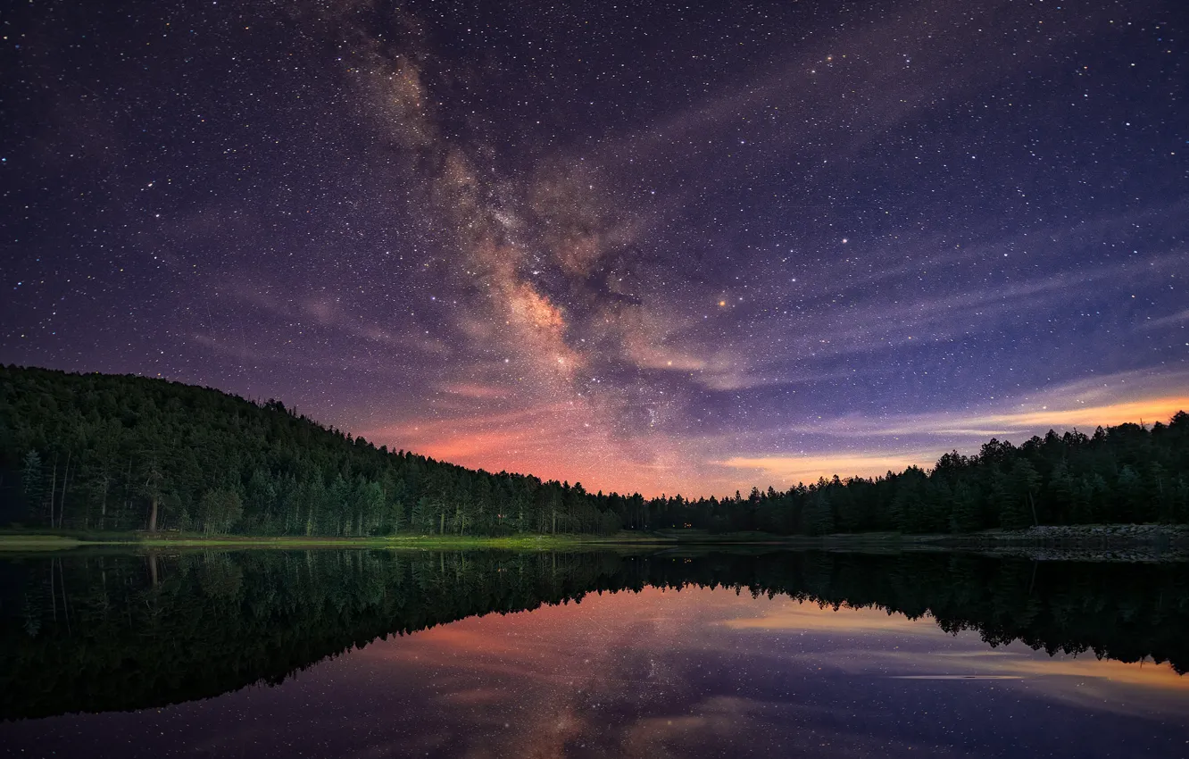 Photo wallpaper forest, stars, night, lake, the milky way
