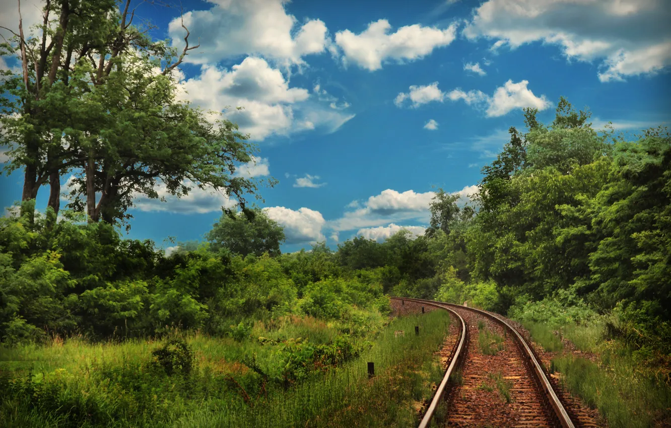 Photo wallpaper greens, summer, the sky, grass, clouds, trees, nature, green