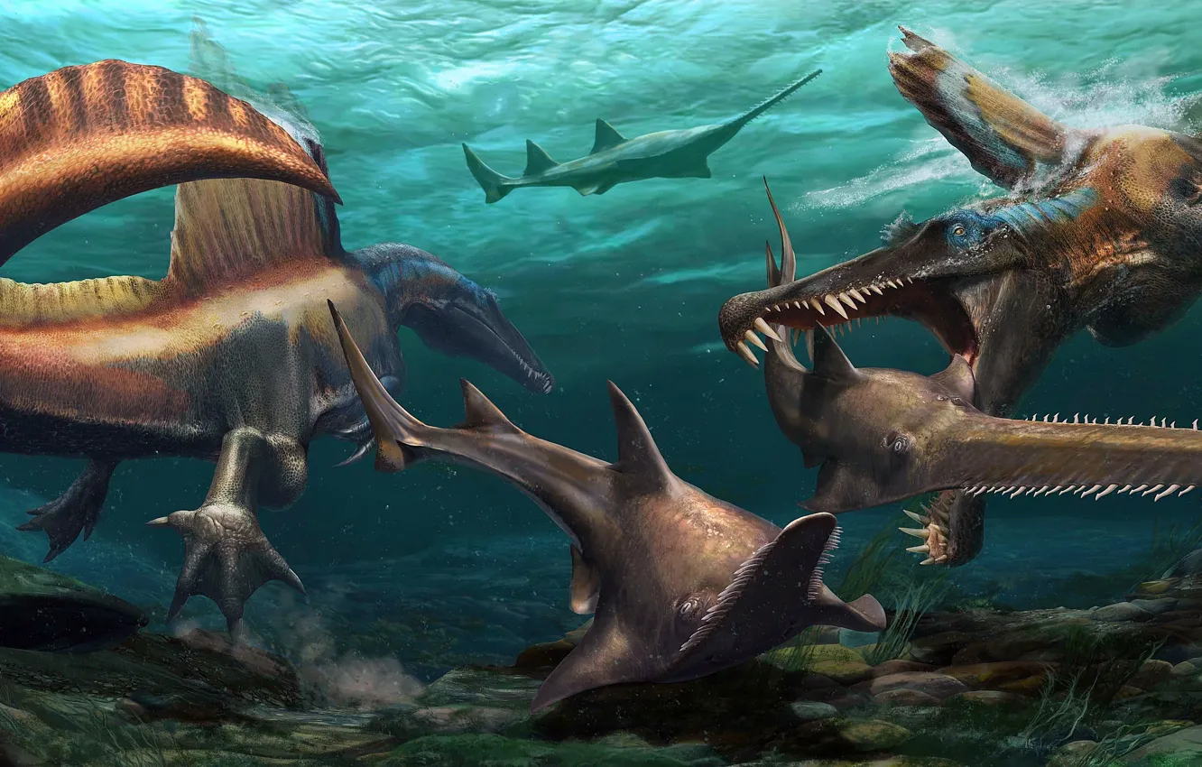 Photo wallpaper Underwater world, Hunting, Dinosaurs, Spinosaurus, Ancient animals, Onchopristis, Prehistoric marine animals, Spinosaurus aegyptiacu