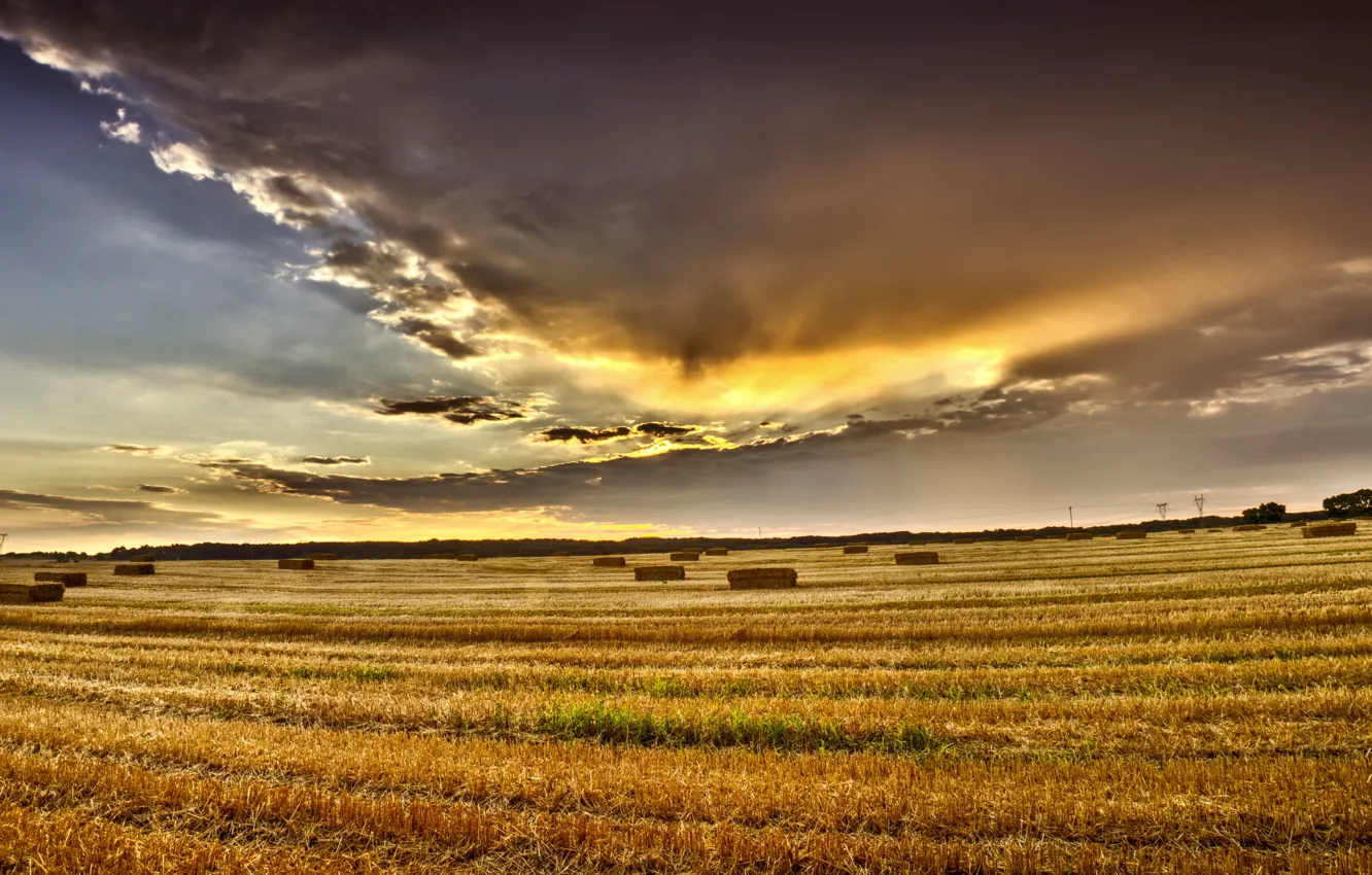 Photo wallpaper field, summer, the sky, clouds, summer, sky, field, clouds
