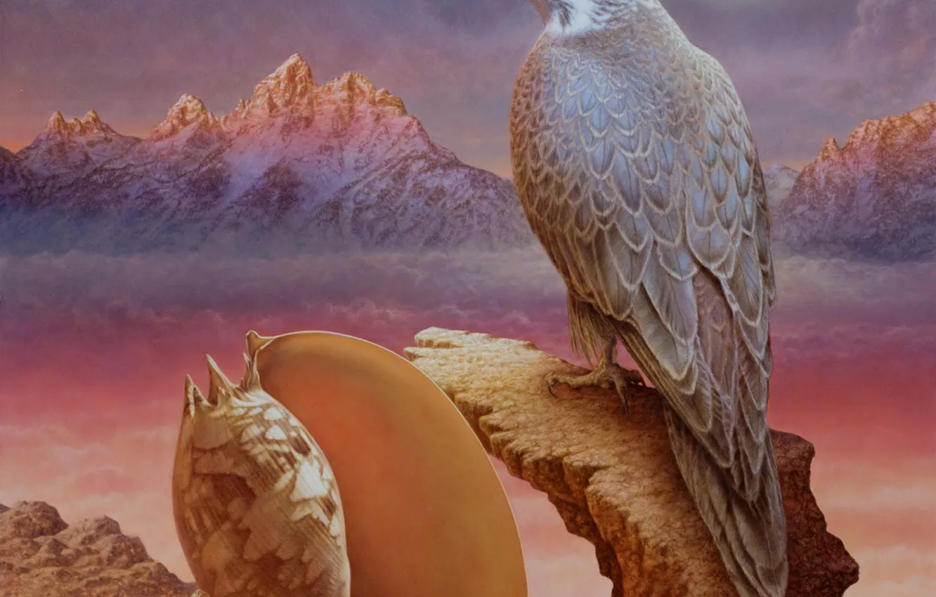 Photo wallpaper mountains, the moon, picture, shell, Falcon