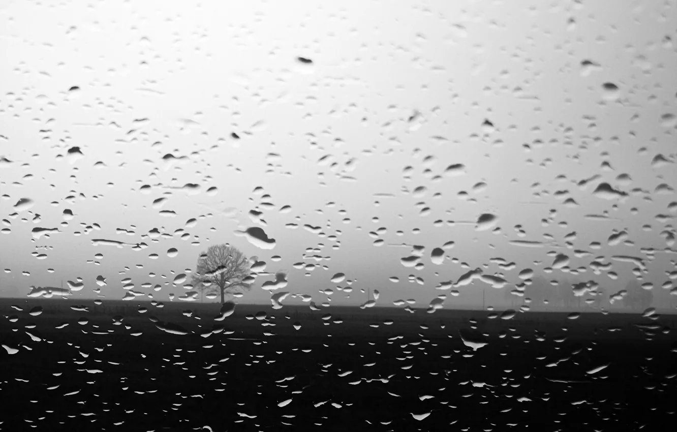 Photo wallpaper glass, drops, background